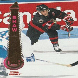 Brad Shaw - 1994 Pinnacle Brands Hockey Card